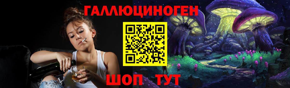 Галлюциногенные грибы Psilocybe  Вход с VPN  Дагестанские Огни 